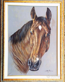 " Testa di Cavallo " olio su tela cm.50x70