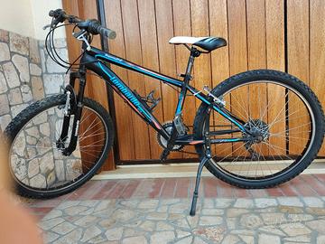 bici MTB bambino 8-10 anni Lombardo 24