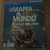 Libro scolastico usato 