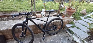  mtb carbonio