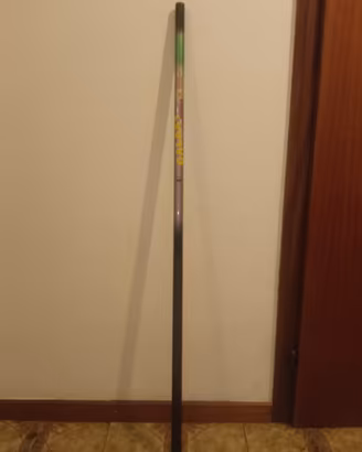 Canna da pesca fissa Galaxy Carbon 5 metri 