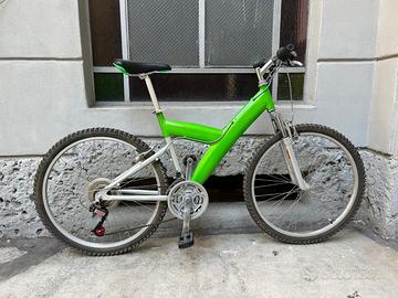 bicicletta