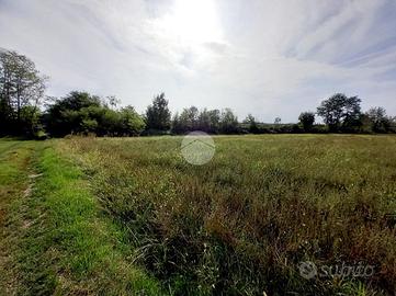 TER. AGRICOLO A LEINÌ