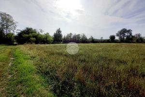 TER. AGRICOLO A LEINÌ