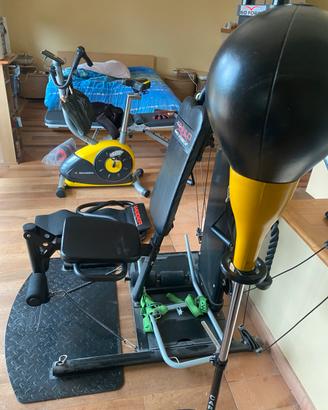 Palestra