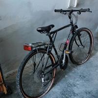 bici mouta