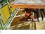 Immagine 5