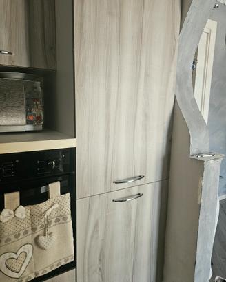 Frigorifero e Freezer ad Incasso
