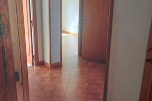 Regolare contratto 12 mesi