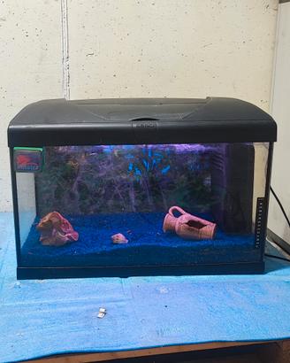 Acquario 