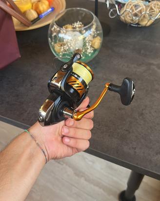 Mulinello daiwa