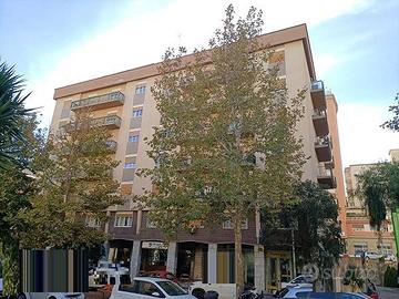 Rif.3650RA63041| appartamento caltanissetta