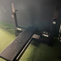 Panca piana professionale