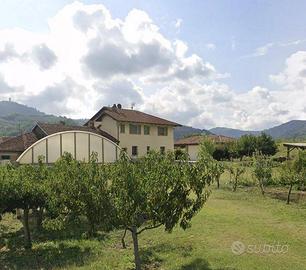 Immobile in asta di 551 m² a Vesime