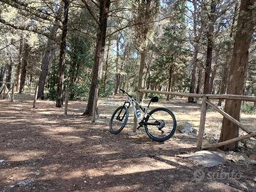 bici MTB 
