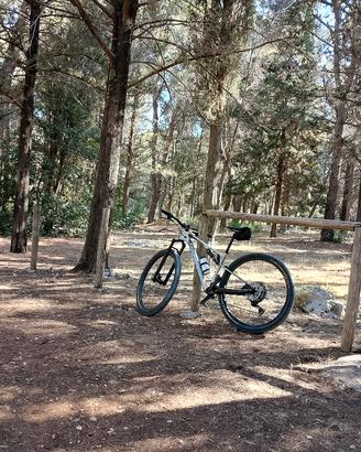 bici MTB 