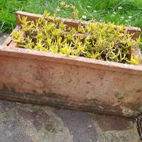 vaso rettangolare terracotta