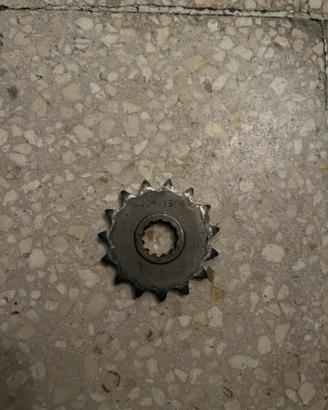 Pignone 15 dentj am6