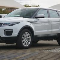 Land Rover Range Evoque 2.0 TD4 150 CV 5p. Busines