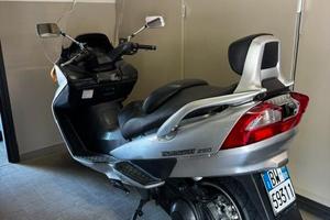 suzuki burgmann 250