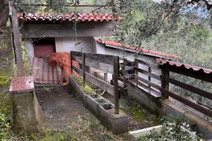 Campagna uliveto con rustico