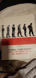 guerra nazifascismo lotta di liberazione....