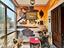Immagine 6
