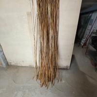 canne di bambu' trattate