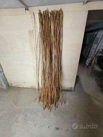 canne di bambu' trattate