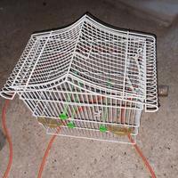 gabbia / voliera per canarino