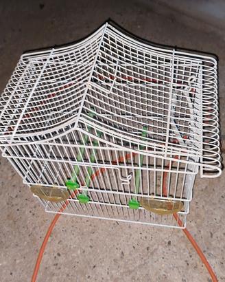gabbia / voliera per canarino