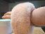 Immagine 3