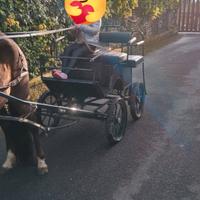 carrozza per pony 