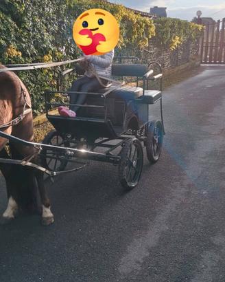carrozza per pony 