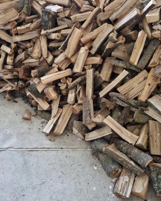 Legna secca di bosco
