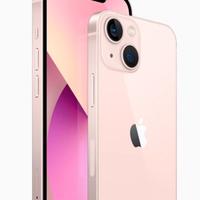 Apple Iphone 12 Rosa da 256gb Rigenerato