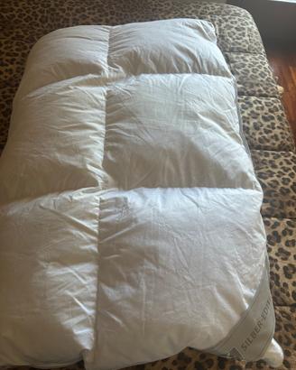 Piumino d’oca singolo