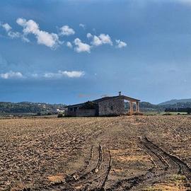 Casa con ampio terreno - Bassa Veronese/collinarer