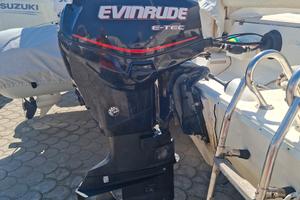 motore marino envirude etec 40