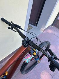 Bici da enduro