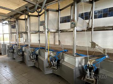 Impianto di mungitura - mungitrici