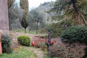 Casetta con giardino