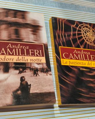 Lotto 2 Romanzi di Andrea Camilleri