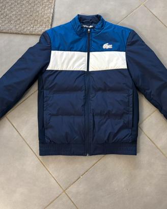 Giacca lacoste giubbino mezza stagione 48