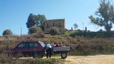 Terreno agricolo (15,5 tummini)