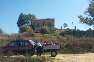 Terreno agricolo (15,5 tummini)