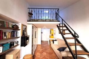 MONOLOCALE A FALERIA