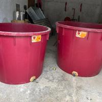 Mastelloni (tini) uso enologico/vinicolo