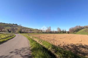 TER. RESIDENZIALE A VALSAMOGGIA