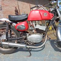 Benelli Leoncino 125 - 1976 funzionante
